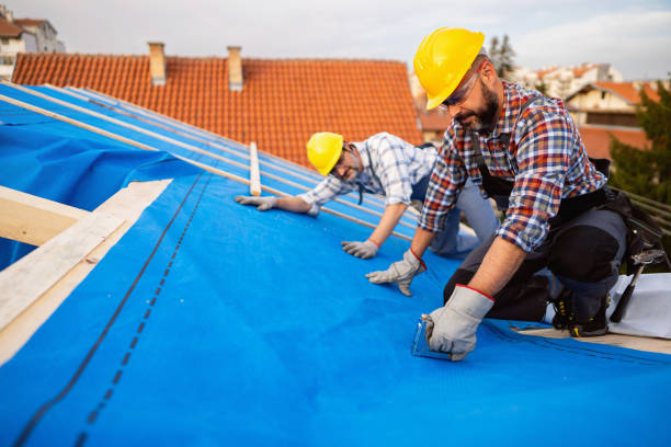Best Roof Gutter Cleaning  in Anthony, NM