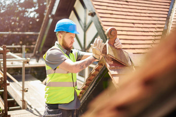 Best Storm Damage Roof Repair  in Anthony, NM